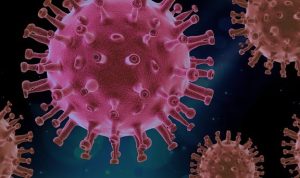 virus-4937553_640