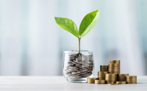 istockphoto-2175808388-612x612