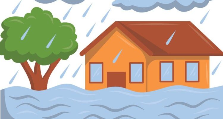 c1_20251029_12162745-750x500