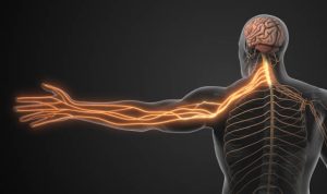 istockphoto-2178854123-612x612